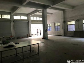 大朗镇新出独栋可做毛织行业厂房便宜出租