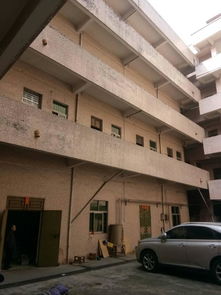 大朗毛织市场旁8元独院标准厂房出租，打造毛织产业福地